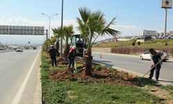 Kahramanmaraş’ta Bahara Hazırlık…