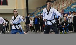 Adana'da düzenlenen Türkiye Tekvando Poomsae Şampiyonası tamamlandı