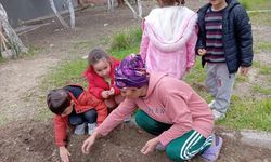 Bozyazı'da anaokulu öğrencileri tohum ekip fidan dikti