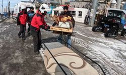 Erzurum'da JAK buzağıyı tedavi sonrası kızaklı sedye ile ahırına ulaştırdı