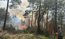 GÜNCELLEME - Antalya'da ormanlık alanda çıkan yangına müdahale ediliyor