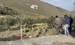 Hatay'da tırın sebze tezgahına çarptığı kazada 1 kişi öldü, 1 kişi yaralandı