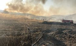 Malatya'da sazlık alanda çıkan yangın söndürüldü