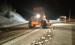 Pozantı ve Feke'de kar yağışı etkili oldu