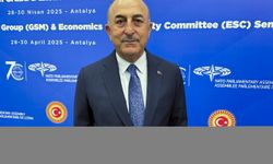 NATO Parlamenter Asamblesi'nin Antalya'daki semineri sona erdi