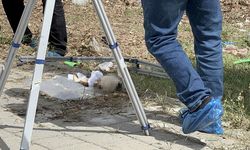 Adana'da çöp konteynerinde kafatası bulundu