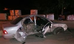 Adana'da otomobilin elektrik direğine çarpması sonucu 1 kişi yaralandı