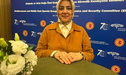 AK Parti Genel Merkez Kadın Kolları Başkanı Ercan, Türkiye'de kadın hakları konusundaki çalışmaları anlattı: