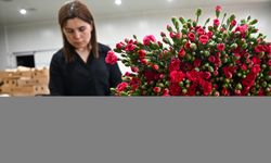 Anneler Günü için 30 ülkeye çiçek ihraç edildi