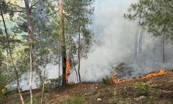 Antalya Kumluca'da çıkan orman yangını kontrol altına alındı