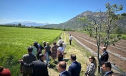 Antalya'da cezaevlerindeki mahkumlara organik tarım eğitimi verilecek