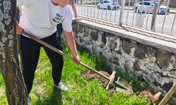 Arguvan'da öğrenciler okul bahçesine fidan dikti
