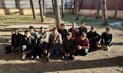 Hatay'da 65 düzensiz göçmen yakalandı