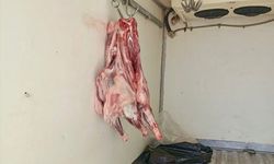 Hatay'da sağlıksız koşullarda taşınan 34 kilogram et ele geçirildi
