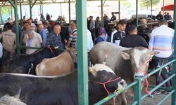 Isparta'da Kurban Bayramı öncesi hareketlilik yaşanıyor