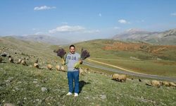 Malatya'da dağ sümbülleri güzel görüntüler oluşturdu