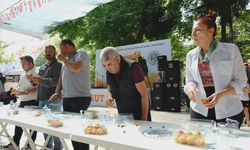 Mersin'de 63. Karacaoğlan Kayısı, Kültür ve Sanat Festivali başladı