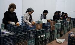 TKDK'den Hatay'daki depremzede girişimcilere 200 milyon liralık ilave destek