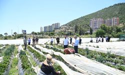Türkiye Belediyeler Birliği heyeti Anamur ilçesini ziyaret etti