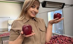 YENİ NESİL ÇİFTÇİLER - Elma üreticisi genç çiftçi ürünlerini kurutarak katma değerli hale getirecek