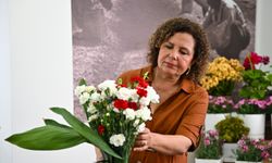 Yıl boyunca çiçekli kalan iki yeni karanfil çeşidi geliştirildi