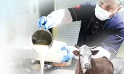 Denizli'de Kurban Bayramı kampanyası