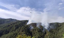 Kahramanmaraş’ta orman yangını
