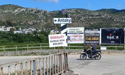 Hatay'da kuduz karantinası uygulanan 4 mahallede sahipsiz köpekler toplatılıyor