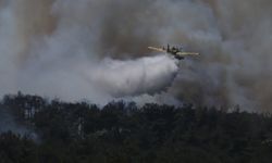 GÜNCELLEME 6 - Çanakkale'de çıkan orman yangınına müdahale ediliyor