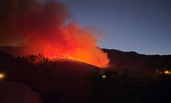 Hatay'da ormanlık alanda yangın çıktı