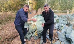 Kahramanmaraş’ta Dev Lahanalar Pazara İndi