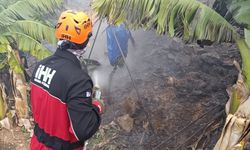 Antalya'da muz bahçelerinde yangın çıktı
