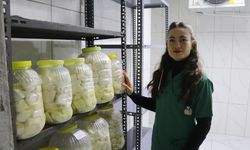 Devlet desteğiyle besiciliğe başlayan veteriner, babasının emanetine de sahip çıkıyor