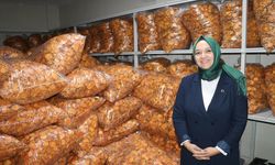 Devlet desteğiyle Trabzon hurması cipsi üreten kadın girişimci, istihdam ve kapasitesini artırdı
