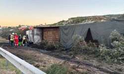 Hatay'da devrilen tırda çıkan yangında 2 kişi hayatını kaybetti