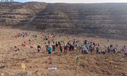 Kozan'da öğrenciler yanan ormanlık alana fidan dikti