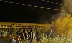 Mersin'de çalılık alanda çıkıp seraya sıçrayan yangın söndürüldü