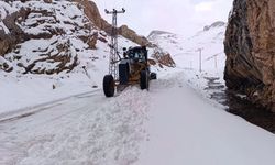 Van'da kırsalda karla mücadele sürüyor