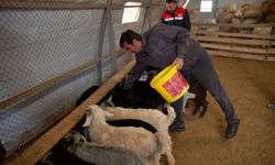 6 ŞUBAT DEPREMLERİNİN ÜÇÜNCÜ YILI - Depremde ahırı yıkılan küçükbaş yetiştiricisi devlet desteğiyle üretime döndü