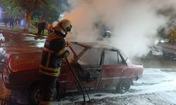 Adana'da park halindeki otomobilde çıkan yangın söndürüldü