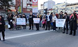 Üsküp'te hava kirliliğine önlem alınması talebiyle gösteri yapıldı
