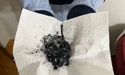 Eczacılık öğrencisi kimyasal gübre kullanımını azaltmak için 'çevreci gübre' geliştirdi