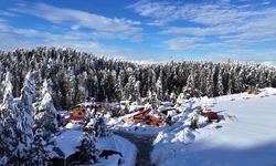 Başkonuş Yaylası Ziyaretçi Akınına Uğradı