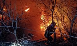 Adana'da çıkan yangında tek katlı ev kullanılamaz hale geldi