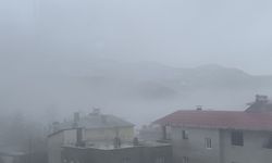 Adana'nın yüksek kesimlerinde kar yağışı etkili oldu