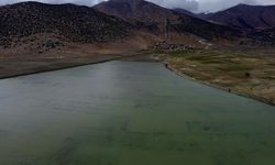 Antalya'da sağanak nedeniyle tarım arazileri su altında kaldı