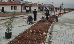 Doğanşehir'de yapımı süren köy konutları alanında peyzaj çalışması yapılıyor
