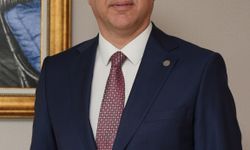 OYAK Denizcilik, İsdemir Limanı'nda yapay zeka destekli vinçleri hizmete alacak