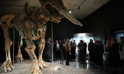 Ulu Çınarlar Tarihle Buluştu!