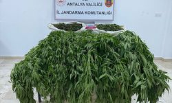 Antalya'da uyuşturucu operasyonunda 1 kişi tutuklandı